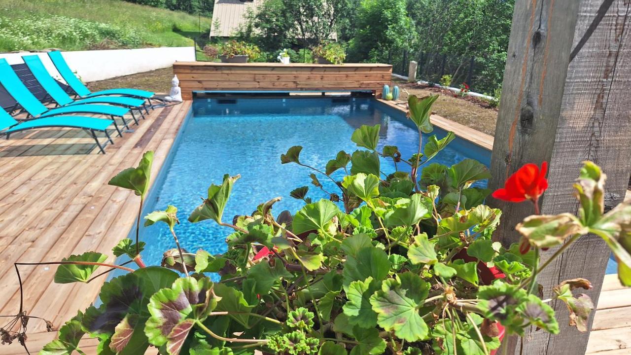 Chalet Serre Cambeou Piscine&Spa Saint Chaffrey Bagian luar foto